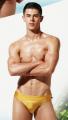 New 2020 metallic gold Style swim  Swimwear Mens u choose  low waist bathers 