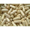 ORGANIC Astragalus 500mg Vegetarian capsules 20:1 pure powder